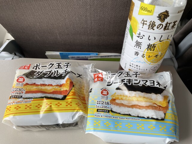 ANA SFC修行 ソラシドエア ぽーたま