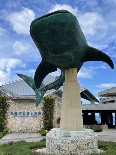 ANA SFC修行 2022 沖縄 美ら海水族館 ジンベイザメ