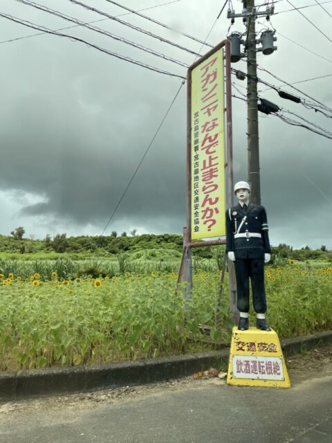 ANA SFC修行 2022 宮古島 まもるくん