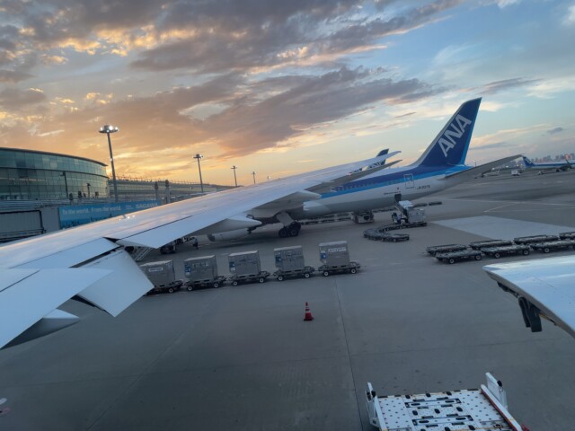 ANA SFC修行 2022 羽田空港