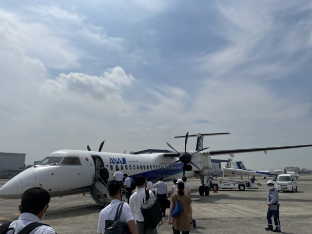 ANA SFC修行 2022 伊丹空港 プロペラ機