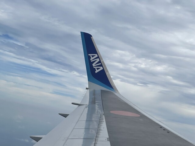ANA SFC修行 2022 松山空港 羽田空港