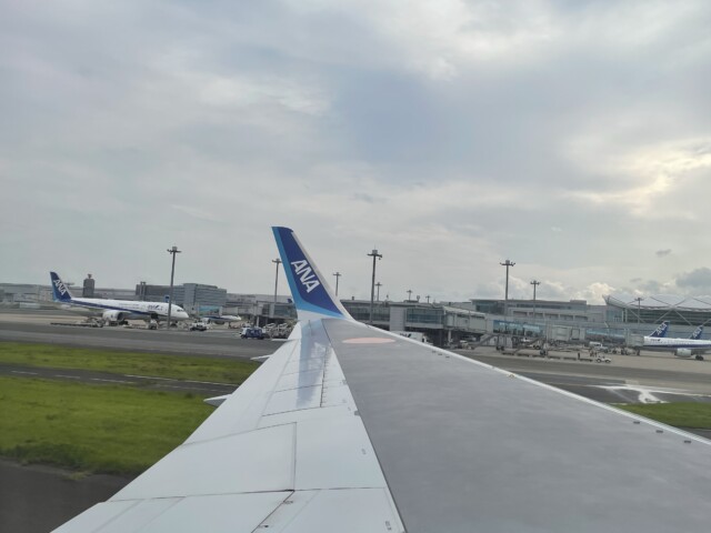 ANA SFC修行 2022 松山空港 羽田空港