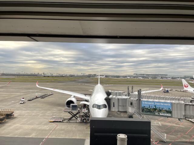 GC　JAL　サクララウンジ　羽田空港