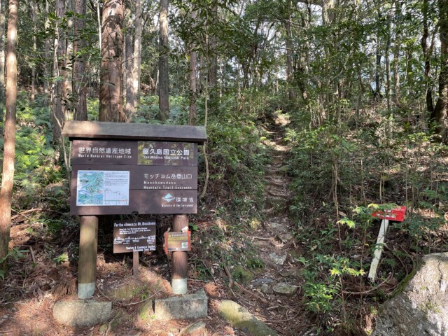 屋久島　千尋の滝　やくざる号　世界自然遺産